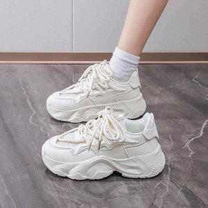 Xj[J[ fB[X  _bhXj[J[ jOV[Y X|[cV[Y ^C ʊw ig x[W ubNn