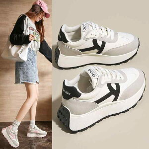 Xj[J[ fB[X  jOV[Y Ȃ ^C EH[LOV[Y wlC 킢 y t JWA sNn O[ 3cm 3.5cm 4cm