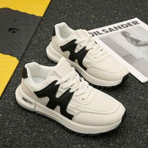 Xj[J[ fB[X  jOV[Y X|[eB JWA y ʋC ؍ 