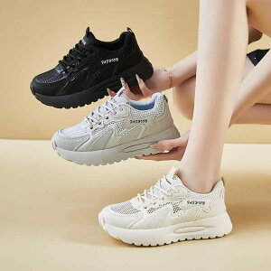 Xj[J[ fB[X  jOV[Y ^C ʋC X|[c JWA [Jbg bV x[W O[ ubN