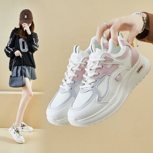 Xj[J[ fB[X  Cq[ ^C jOV[Y JWAV[Y EhgD [Jbg 3cm`5cm ~NsN uE ubN