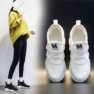 Xj[J[ fB[X  Cq[ 2024 tH ؍ h y ^C wlC jOV[Y   ʋC ϖՐ ig X|[c g[jO