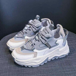 Xj[J[ fB[X  Cq[ ^C X|[cV[Y jOV[Y JWA ؍ DF ĔF tďH~ y ig ʋC