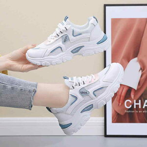 Xj[J[ fB[X ʋC X|[c ^C jO EH[LO t [Jbg tbg\[ JWA 킢   IW O[