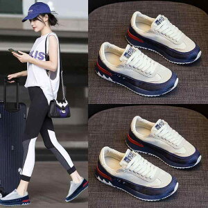 Xj[J[ fB[X  y Ȃ JWA jO ^C ؍  ₷ ₷ u[n