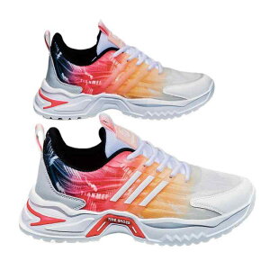 Xj[J[ Y jp [t@[ ^C X|[cV[Y jOV[Y RC bV ʋC ϖ ig ؍ tH  ĐF F DF  ubN