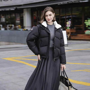 _EWPbg fB[X  V[g |GXe   t[ht ubN zCg J[L \ H~