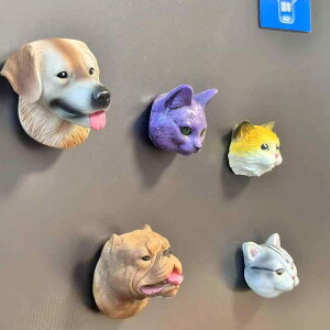 ①ɗp}Olbg fB[X Y    L 킢  Aj} G  LOi fR[V F єL CG[ efB  F P  ueBbV