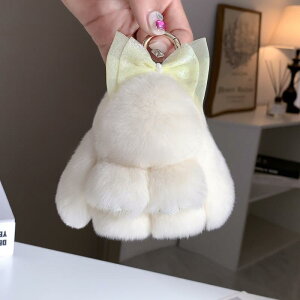 L[z_[ fB[X 킢 ^?\ ӂӂ ETM { obO 蕨 sNn p[vn