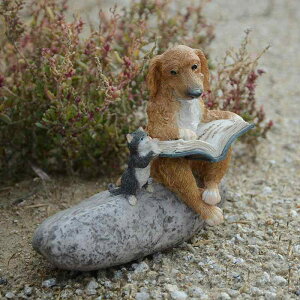 u IuWF  킢   ~j`A G fXN  rO Q