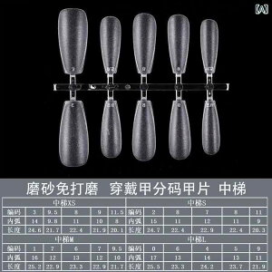 ���� ���f�B�[�X �l�C���`�b�v ��e�� ���^ �V���[�g 300�� XS S M L 4�T�C�Y�W�J �j���A���X�l�C�� �����^ �C���X�^�� �W�F ��i