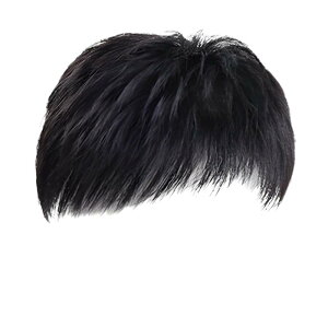 EBbO Y jp wAs[X ×p  Z nC ÉB B wAX^C C`F ig