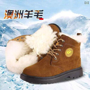 u[c Y jp amC H~ v r h ۉ ϖ  [Nu[c V[gu[c ig