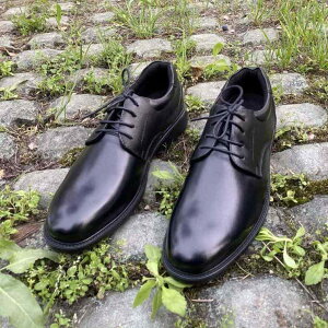 C Y rWlXV[Y {v amC [Jbg EhgD [XAbv ʋC h Ռz tH[}  jp tH