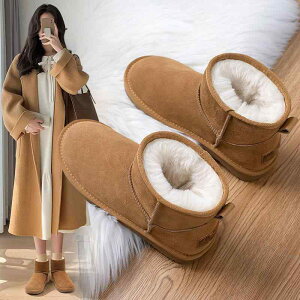 Xm[u[c fB[X h ۉ N   ~ V[gu[c ~ ubN uE x[W