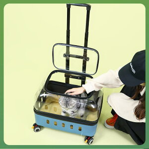 ybgL[ L p L[J[g L[obO n[h^Cv  ʋC expandable PPf ubN  u[  sN O[