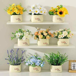  CeA  픫 A ϗtA tFCNO[ ~ O o [J q} AWTC A V f[W[ rO 