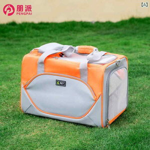 L[obO  Lp ܂肽ݎ IbNXtH[hz e ybgobO  ʋC 15Ҍ 18ҔL DF IW F 