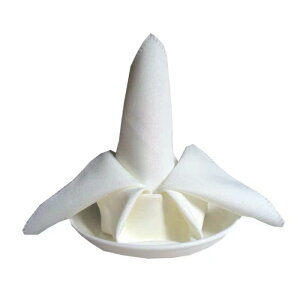 e[uNX ߃ivL e[u}bg ze Xg n ܂肽 ivL OX@ |GXe `  x[W Vp 50cm