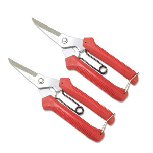 p fB[X |pnT~ ~͓ K[fjO Yf| A   E 