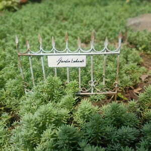 ԕr ACA 9A   ~ A 뉀 x_ }CNK[f fR[V