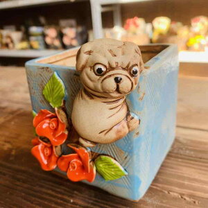 Aؔ A  픫 ` TCN e ʋC ϋv ؍ ItBX x_ K[fjO