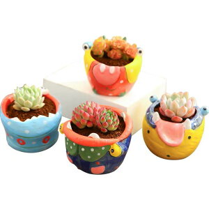 Aؔ ؍ 킢  Aj} Jj S̖ e ` 픫 A 񂹐A  ϗtA ~j  K[fjO ƒ؉(x2)