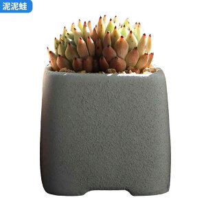 ԕr fB[X A Aؔ 퐻 ؍ 킢 `  | ƒ؉ VF [F F Ԗ͗l