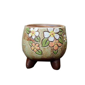 Aؔ fB[X Y e A ~j   v^[ 6Zbg  킢 ؍ | ϗtA ƒ؉ Succulents |bg uF [DF pXeJ[