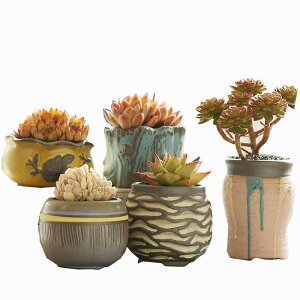 Aؔ fB[X Y LbY   ~j A T{e 񂹐A v^[ | A  킢  ƒ؉ t