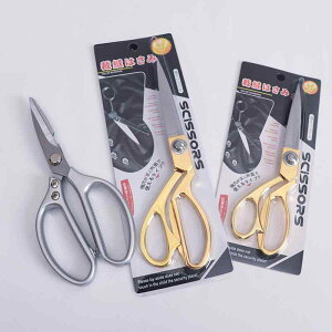  Ԑ؂ |p͂ XeX | n A ~   K[fjO