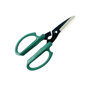 p  Ԑ؂ Ԃ΂ ԉ | K[fjO DIY CG[ O[ bh ubN