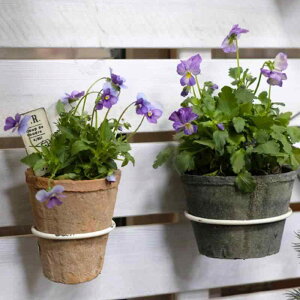 ԑ ACA Aؔ Ǌ| bN K[fjO G     |