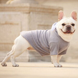 ybg ^ jbg Z[^[ ETM 킢  L ETM H~ sN O[ JWA