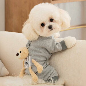 ybg  L H~p efB R[M[ lr  킢 |Pbgt hbOEFA CG[ O[ uE bh