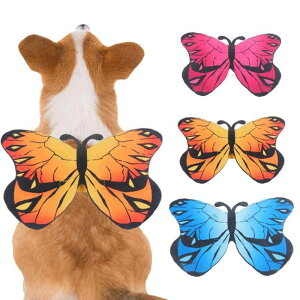 ybgpRX`[ fB[X L  nEB  ̉H RXv n ^ ^ ^ 򉩐F sNn F