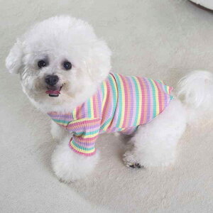   H~ ^ ^ 킢 s[X XJ[g `[ rainbow J[ hbOEFA