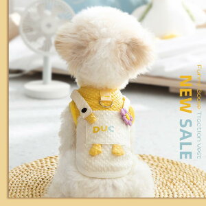 ybg ^p t  xXg \ efB rV ViEU[ |GXe 킢 bN? XS S M L XL XXL