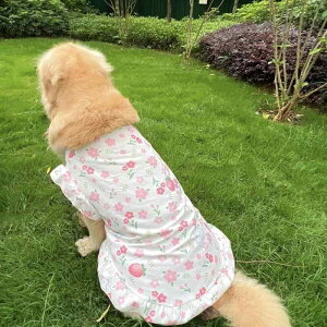  t  ^ s[X TGh ybg  ʋC |GXe ^ ^ ԕ 킢 pCibv