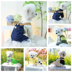 ybg   4r Jo[I[ p[X hbOEFA |GXe 킢 JWA ig U ^ ^ ubN x[W