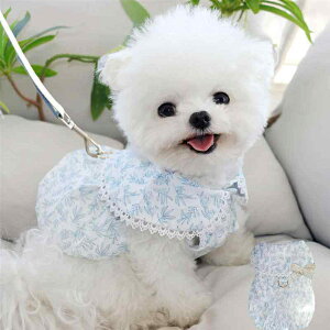  s[X  L ybg `[ t ԕ t  ^ \ 킢 