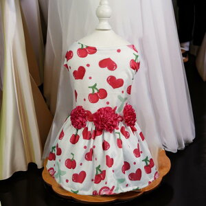 ybg   L o^C vZX 킢 s[X ^ ^ |GXe n[g o V