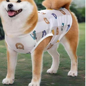 ybgpxXg  tďH  ʋC bV ^ ^ ^ t`uhbO R[M[ Č 킢 F  pCibv  Aj}