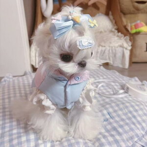   ^ }`[Y [NV[ ^ _E xXg H~ h xrz u[