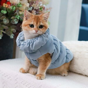 ybg H~  L ۉ  t@bV  _ExXg nb ~p JLF   sN ubN