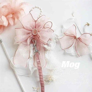 ybg [v L ^ ߉\ Lp Oo n[lX [h Eɂ xXg  t |GXe 