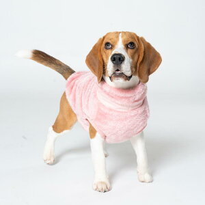 hbOEFA ^ ^ ^  ybg ĕ 킢  K ^ h |GXe J[L V sN