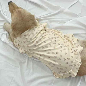  t ^p XJ[g  |GXe 킢 F ^Ngbv S[fgo[ uh[ TGh O΍