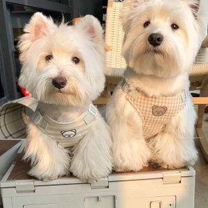 n[lX [h  ؍ 킢 F efB rV XiEU[ U `FbN XgCv ^ 