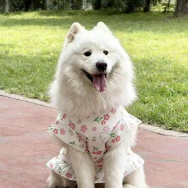 ペット服 ワンピース 女の子 犬服 春夏 プリンセスドレス ノースリーブ 大型犬用 ドッグウェア 通気性 ベスト ドレス